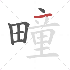 疃的笔顺第7画：横