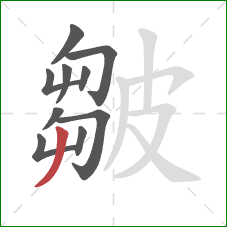 皺的笔顺第10画：撇