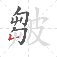 皺的笔顺第8画：竖折