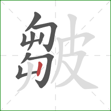 皺的笔顺第9画：竖