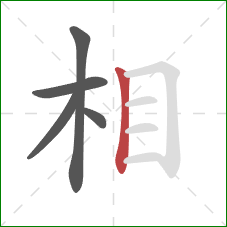 相的笔顺第5画：竖