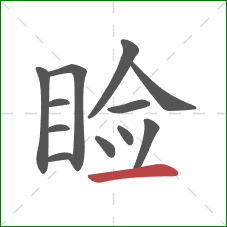 睑的笔顺第12画：横