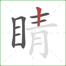 睛的笔顺第8画：竖