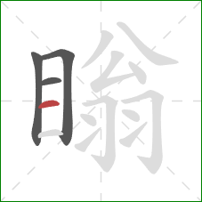 瞈的笔顺第4画：横