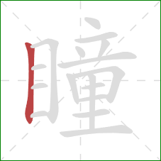 瞳的笔顺第1画：竖