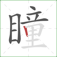 瞳的笔顺第11画：竖