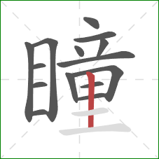 瞳的笔顺第15画：竖