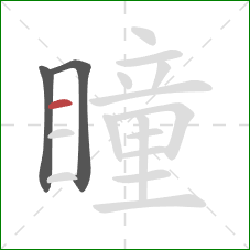 瞳的笔顺第3画：横