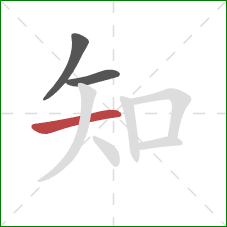 知的笔顺第3画：横