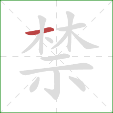 禁的笔顺第1画：横