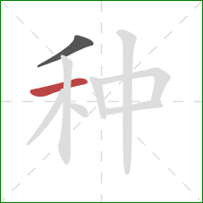 种的笔顺第2画：横