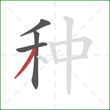 种的笔顺第4画：撇