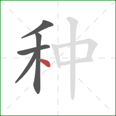 种的笔顺第5画：点