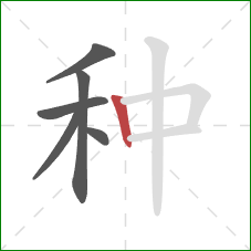 种的笔顺第6画：竖