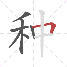 种的笔顺第7画：横折