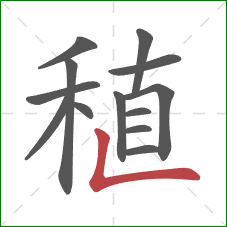 稙的笔顺第13画：横