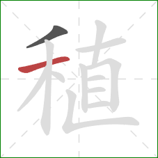 稙的笔顺第2画：横