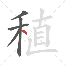 稙的笔顺第5画：点