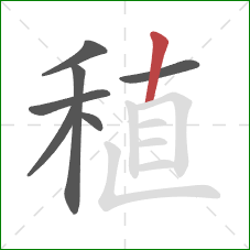 稙的笔顺第7画：竖
