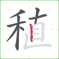 稙的笔顺第8画：竖
