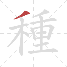 種的笔顺第1画：撇
