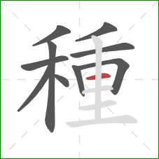 種的笔顺第10画：横