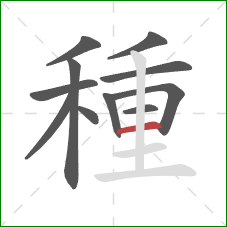 種的笔顺第11画：横