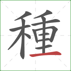 種的笔顺第14画：横