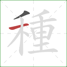 種的笔顺第2画：横