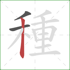 種的笔顺第3画：竖