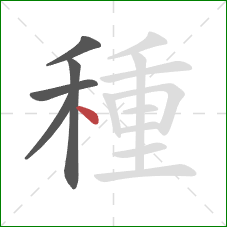 種的笔顺第5画：点