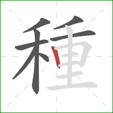 種的笔顺第8画：竖
