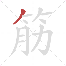 筋的笔顺第1画：撇