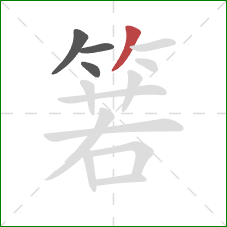 箬的笔顺第4画：撇