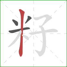 籽的笔顺第4画：竖