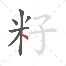 籽的笔顺第6画：点