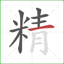 精的笔顺第10画：横