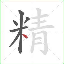 精的笔顺第6画：点