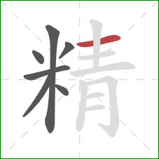 精的笔顺第7画：横