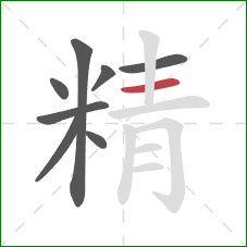 精的笔顺第8画：横
