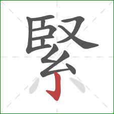 緊的笔顺第12画：竖钩