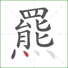 羆的笔顺第17画：点