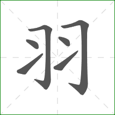 羽的笔顺 羽的笔顺