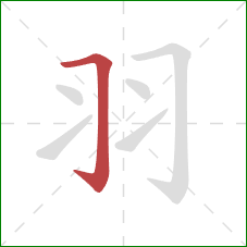 羽的笔顺第1画:横折钩 羽的笔顺第1画:横折钩