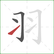 羽的笔顺第3画:提 羽的笔顺第3画:提