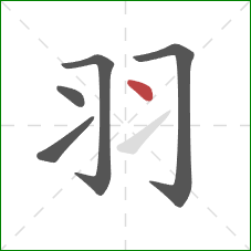 羽的笔顺第5画:点 羽的笔顺第5画:点