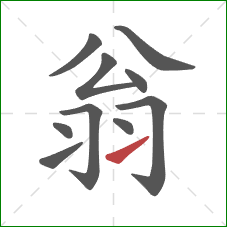 翁的笔顺第10画：提