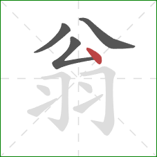 翁的笔顺第4画：点