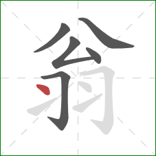 翁的笔顺第6画：点