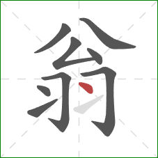 翁的笔顺第9画：点